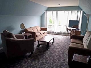 Sun Castle Resort - Lake George - 5