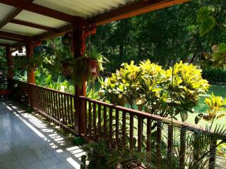 Finca Jerusalen - Tobia - 1