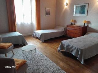 Maison spacieuse avec cour et cheminée au cœur du Parc Naturel de la Brenne - FR-1-591-229 - 6