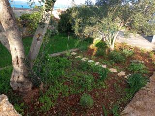 Apartments by the sea Necujam, Solta - 21776 - Grohote - 3