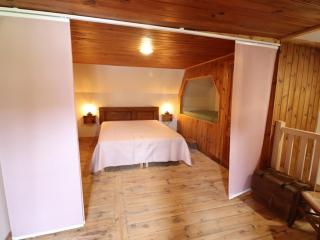 Gîte de caractère avec terrasse et cheminée - Animaux acceptés - FR-1-742-335 - Saint-Jacques-des-Blats - 1