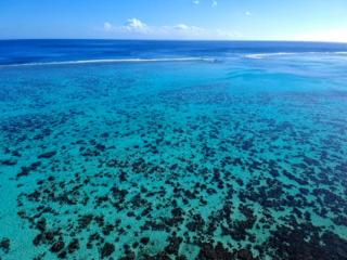 MOOREA - Fare Taina Nui - Haapiti - 9