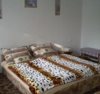 Jartó Apartman - Harkány - 6