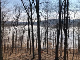 Serene Lakeside Forest Cabin - Nashville - 9