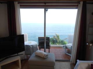 Atlantic paradise - Los Realejos - 8