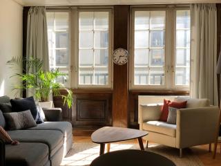 Historical and Modern Flat by Zytglogge - 2nd floor - Berna - 0