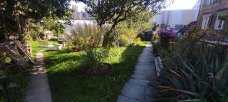 Bijou 1 Hübsche 1 Zimmer Wohnung - Herisau - 3