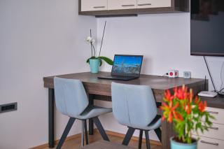 Apartment Kamnik-apartment with a large terrace - 1