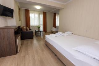 Hotel Nikol - Dolna Banya - 5