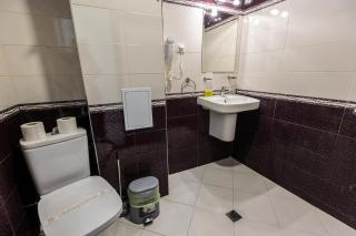 Hotel Nikol - Dolna Banya - 6