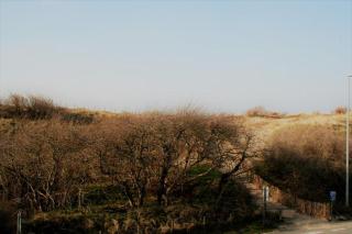 Golf & Strand C2 - De Haan - 8