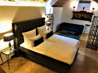 Historical Luxury Homes - Luxus Suite Colloseum - Friburgo em Brisgóvia - 4