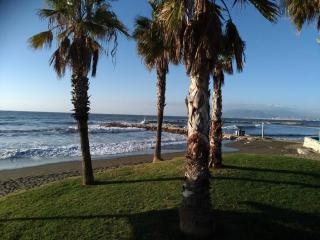 Andalusian house - Beach at 85 meters - Terrace - Málaga - 5