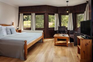 Hotel Zámeček Janovičky - Broumov - 7