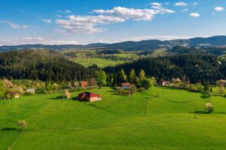 Aronija Zlatar - Nova Varoš - 8