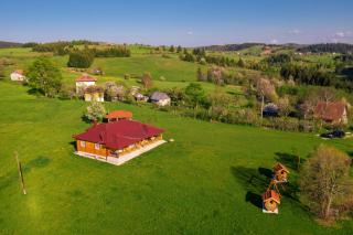 Aronija Zlatar - Nova Varoš - 3
