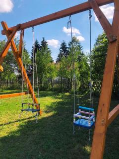 Aronija Zlatar - Nova Varoš - 1