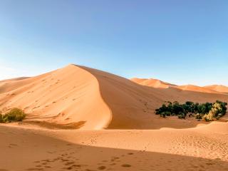 Oasis Desert Camp Obira - 4