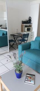 Studio bord de mer - San-Nicolao - 4