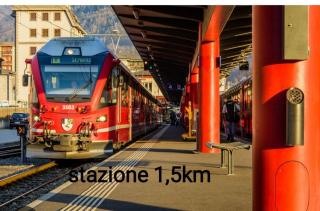 pisolo selvaggio - 3