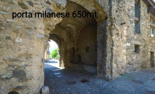 pisolo selvaggio - 1