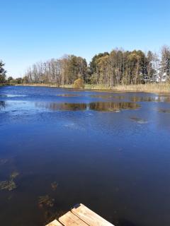 Domek u Prezesa - - 5