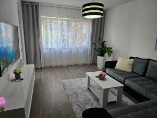 Apartman Aleksandra u strogom centru grada - 3
