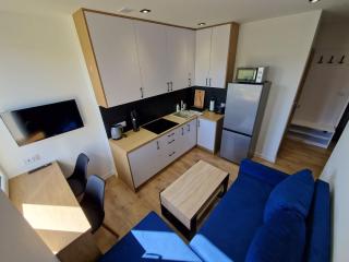 YourSecondFlat Sobieski Apartment - Dębica - 9