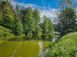 Dom Pod Klonem na Kaszubach - Kościerzyna - 4
