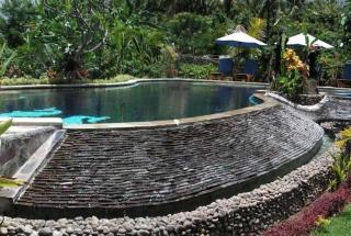 Sawah Lovina - Lovina - 7