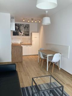 Marcelin Apartments Poznań - Poznan - 7