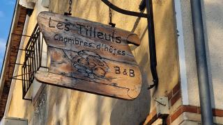 Les Tilleuls - Neung-sur-Beuvron - 6