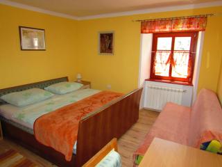 Tourist Farm Dujceva Domacija - Vremski Britof - 7