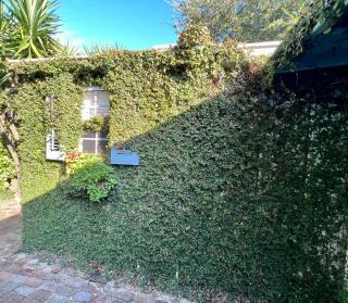 Studio Apartment Antonine - New Orleans - 3