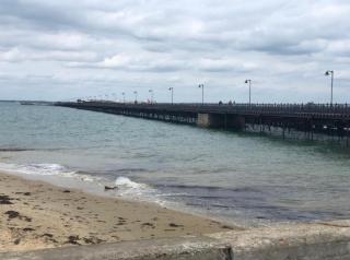 Lux Double Bed Studio by town & beach - Ryde - 2
