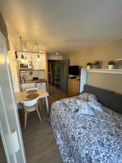 STUDIO COSY STRASBOURG CENTRE TRAM - Estrasburgo - 0