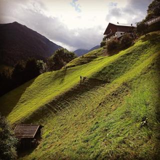 Notlehenhof Ferienwohnung - Sellrain - 9