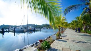 Beautiful Apt. w/ Pool and Direct Beach Access - 4