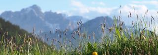 Pahlerhof - - 2