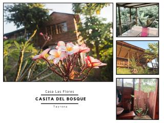 La Casita del Bosque - Santa Marta - 4