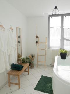 EVASION TROPICALE - studio avec spa, cosy et rénové au cœur de Soissons - 2 pers - Soissons - 9