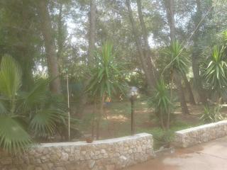 Casa Vacanze La Pineta - Taviano - 1