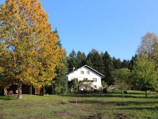 Gîte paisible en forêt avec terrasse, 4 personnes - FR-1-589-322 - 5