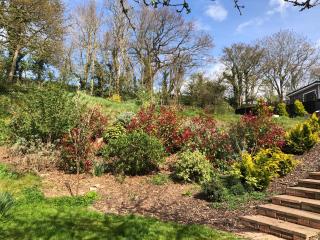Sleepy Hollow - Taunton - 9