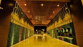 The Weekend Address - 8