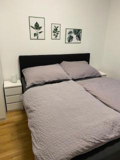 Paky Appartements 00322 - Bruck an der Leitha - 1