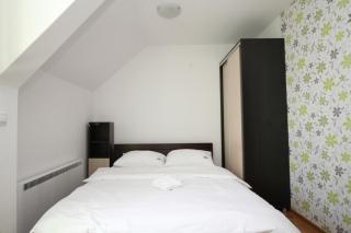 Green Apartman - Zlatibor - 8