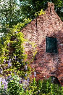 BoHo Experience Summerhouse - 1