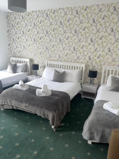 The hermitage inn - 8