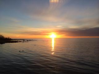 Borgholm Rum Centralt - 1